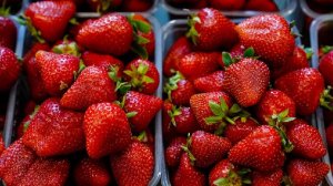 Эксперты рассказали о правилах выбора клубники весной