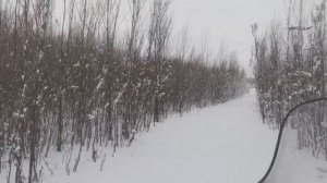 ЗИМНЯЯ ЛОВЛЯ РЫБЫ СЕТЯМИ