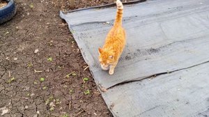 Порядок , всё как я люблю...про жизнь , как она есть...