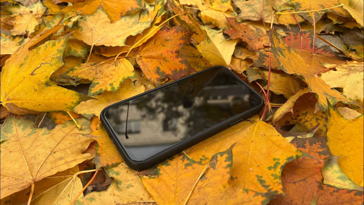 iPhone XR в 2025 ⁉️ Что представляет собой iPhone XR в 2025 😜 24 часа с iPhone XR #liner_ai #iPhone