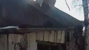 Герой дня 2.