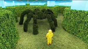 Backrooms - Level 150 “Garden” (found footage)