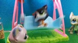 Сериал LPS 1 серия
#видео про йокими
#самое и интересное видео
про басика и лол