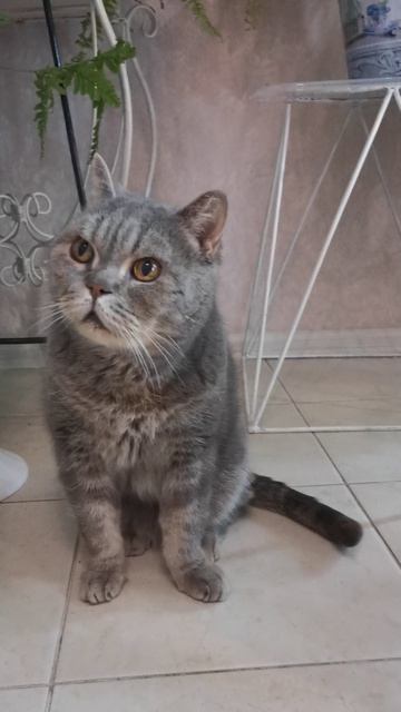 VID_20260327_200034.mp4