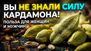 Чем полезен кардамон? Главные эффекты для организма, женщин и мужчин