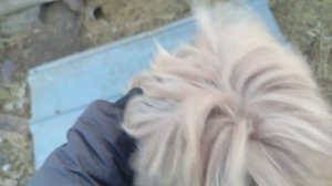 Херсонщина в гостях к Жуку и компании