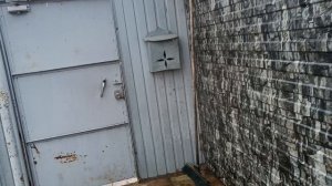 27.03.26. Ждём такси, везу Мормышку на операцию.