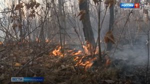 На территории Еврейской автономии вводится пожароопасный сезон