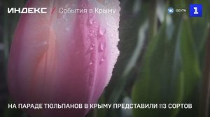 На параде тюльпанов в Крыму представили 113 сортов