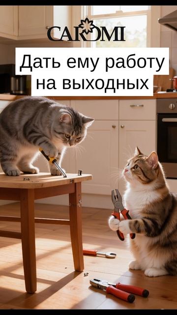 Ароматизаторы для авто и дома