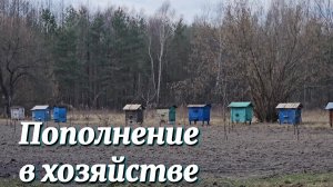 СЮРПРИЗ В КОНЦЕ ДНЯ! ТАКОГО ПОПОЛНЕНИЯ В ХОЗЯЙСТВЕ МЫ НЕ ОЖИДАЛИ.