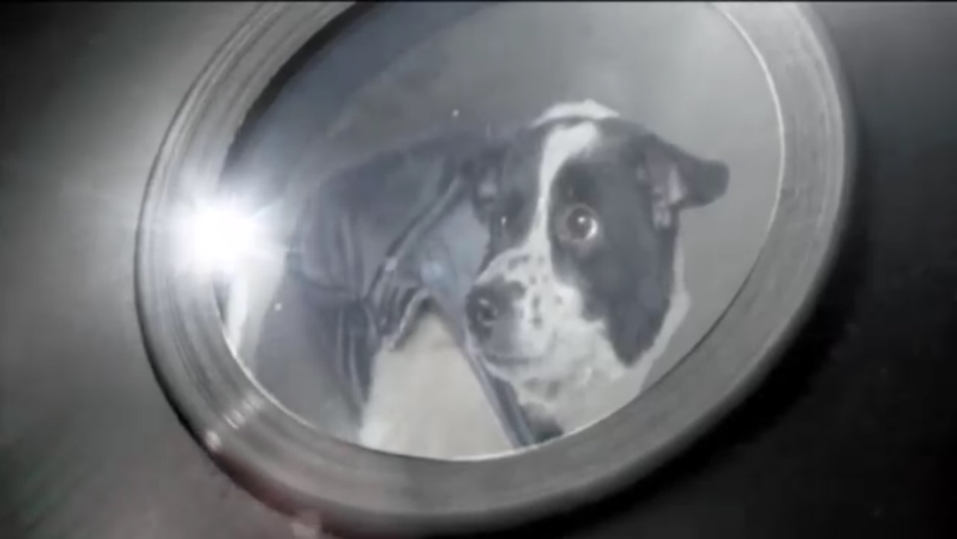 Trentemøller - Moan (Radio Version 2007)