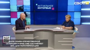 По кукурузе на Ставрополье ведётся целенаправленная работа по импортозамещению