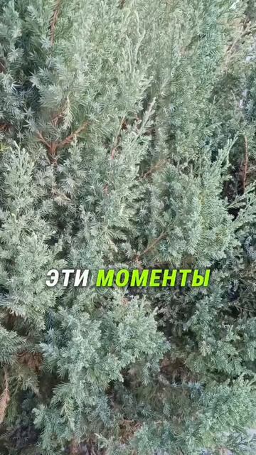 #ловимдзен #момент #наполнение  #отдых #природа