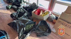 Наркоделец, семь лет выращивавший коноплю на двух дачах в подмосковном Чехове, заключён под стражу