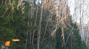 Прогноз погоды