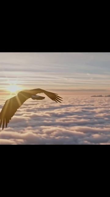 #залипательно #увлечения #моменты #интересное #приключения #вдохновение