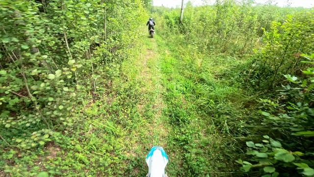 Экологическая тропа на Радонеж