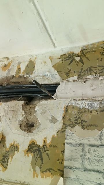 Гипс и провода в штробе