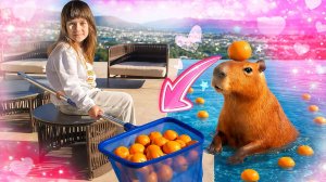 Мандариновое спа в бассейне! Умеют ли капибары плавать?