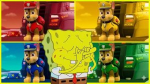 Щенячий Патруль: Тайлс Хоп — Все Цвета под Танцевальную Музыку и Ритм Игры