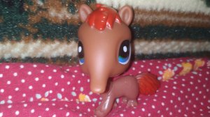 Littlest Pet Shop Сериал: Мелодия Моей Души 7 серия из 7 серий (Финал)
