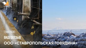 Видеоотзыв «Ставропольская говядина» | Часть 3