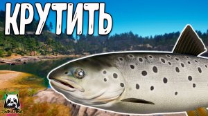 RF4 Главное крутить правильно и будет всё #рр4