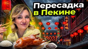 Пересадка в Пекине 2026