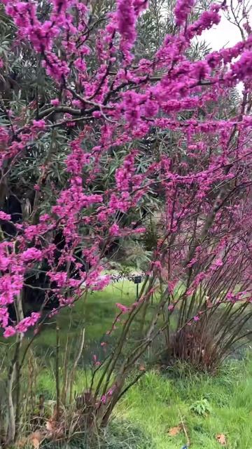 Ура! Каникулы! Мы улетели!