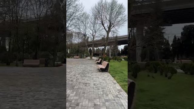 #СОЧИ! #ХОСТА! 27 марта