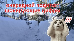 Подитог №2..Мини-дом-каркасник. Участок с нуля. Часть №34