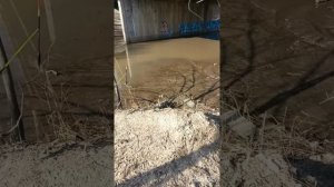 открытие сезона 2026, на поплавок!!!