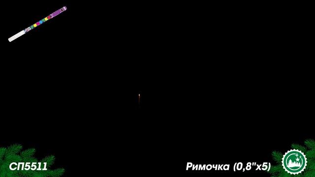 СП5511 смотреть онлайн