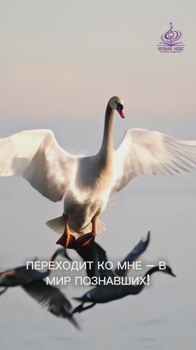 Главное – быть БОГУ верными, И не существовать, а жить! смотреть онлайн