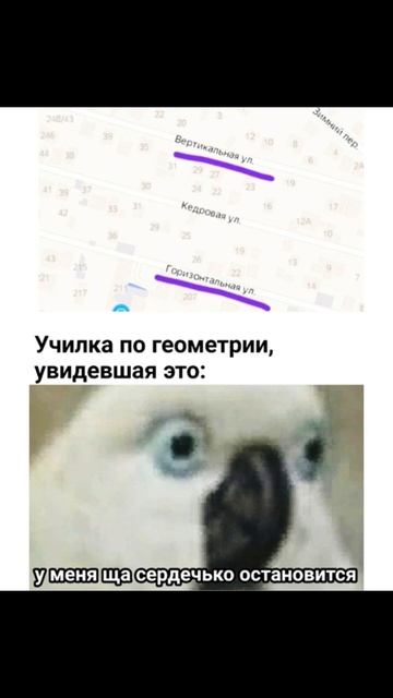 Природушка! Приколы с котами