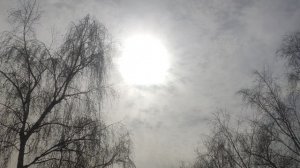 27 марта и обещанный дождь ☔ и солнце 🌞 как обещал волшебник