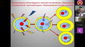 Сложный состав человека и его формирование в процессе эволюции. Обсуждения. 21.03.2026.