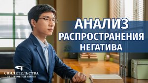 Видео свидетельства | Анализ распространения негатива