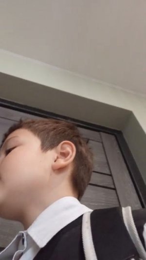 комнатное растение 5