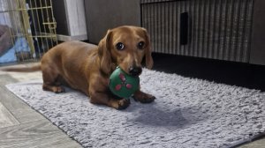 Играем с Вестой