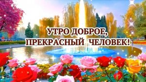 Видеооткрытка с добрым утром