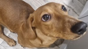 Готовим окрошку🤭😋