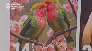 Инструментальный концерт "Голоса птиц" на Вилле "Надежда"