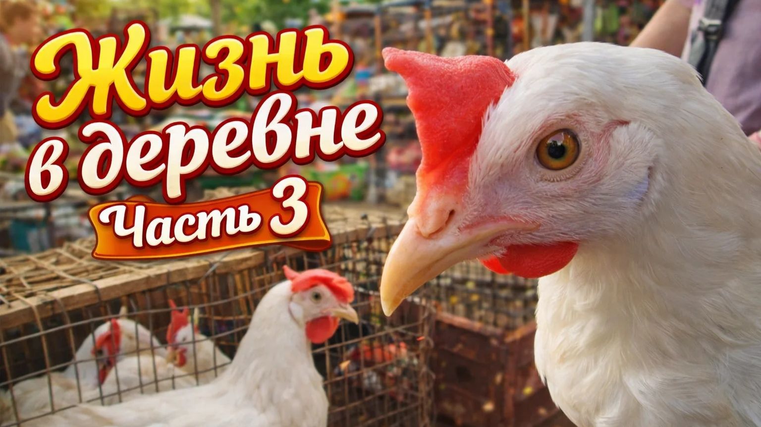 Жизнь в деревне Часть 3: Купили кур несушек и вспахали огород!