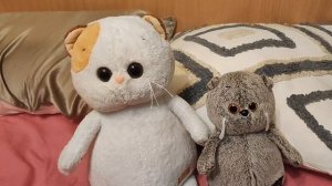 Видео - сообщение