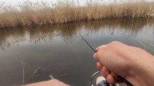 Мормышинг.. Бешеный клёв рыбы!