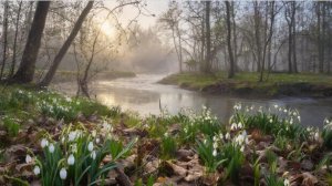 А над речкой туман