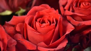 Неведомая Сила в жизни Марии Магдалины