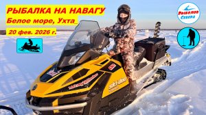 ✅ УХТА l РЫБАЛКА НА НАВАГУ В ОНЕЖСКОЙ ГУБЕ БЕЛОГО МОРЯ 🎣🐟  20 февр.2026г. #РыболовСевера #навага